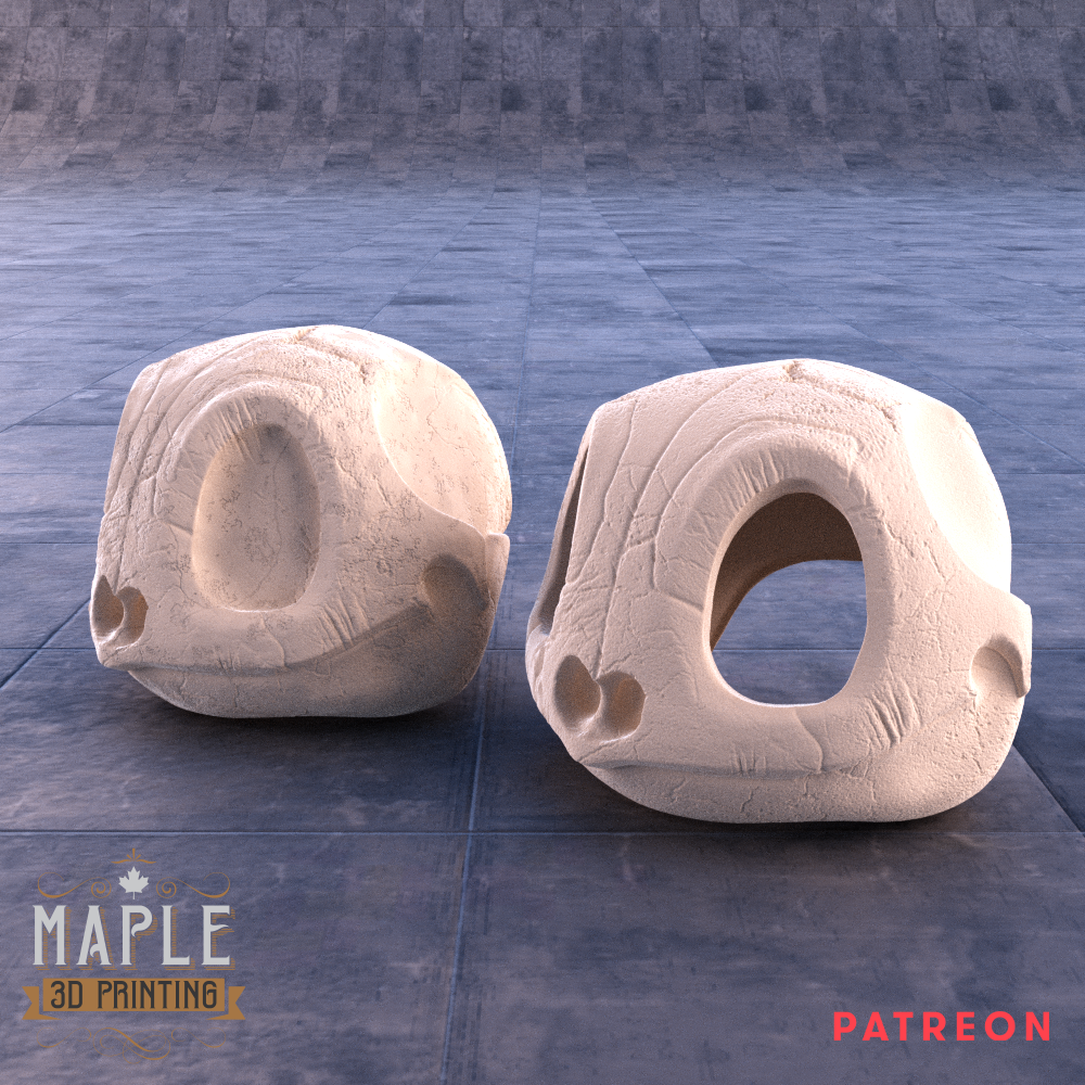 Squirtle Skull - Maple3D
